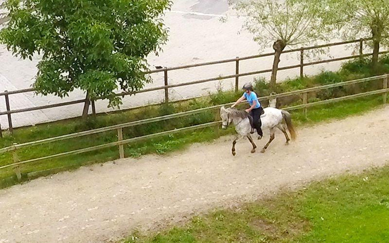 markus-olesch-luftaufnahmen-drohne-gestuet-steenhaar-pferdesport.jpg